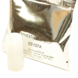 PHEROMON SPEICHERMOTTE/TABAKMOTTE/KAKAOMOTTE (EPHESTIA ELUTELLA)