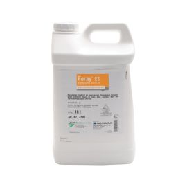 FORAY ES