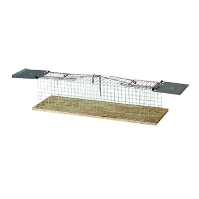 SIEBENSCHLÄFERFALLE