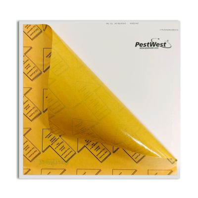 KLEBEFLÄCHE - SUNBURST