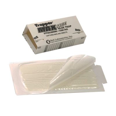 TRAPPER MAX - 72 STÜCK